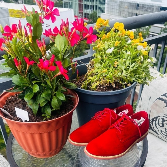 Alberto Fellini Red Dakota Dress Shoe. - Picture 15 of 15